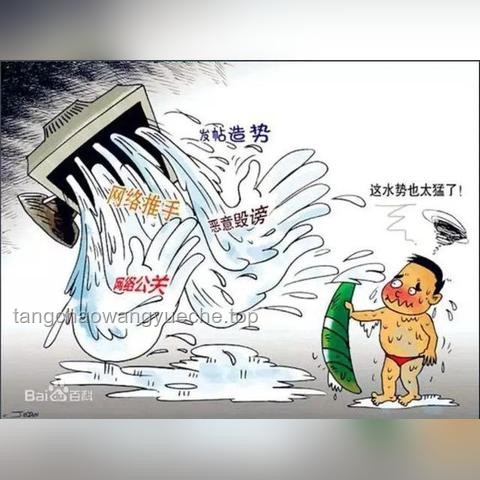 **网警出击背后的故事：如何摧毁一网络水军团伙的经验分享**